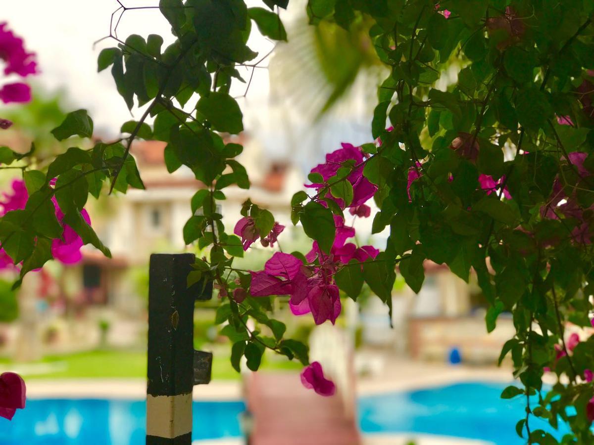 Lale Apartments Fethiye Zewnętrze zdjęcie